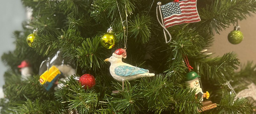 How to Avoid Seagull Management in Construction Leadership Blog Image of a Seagull ornament in a Christmas Tree